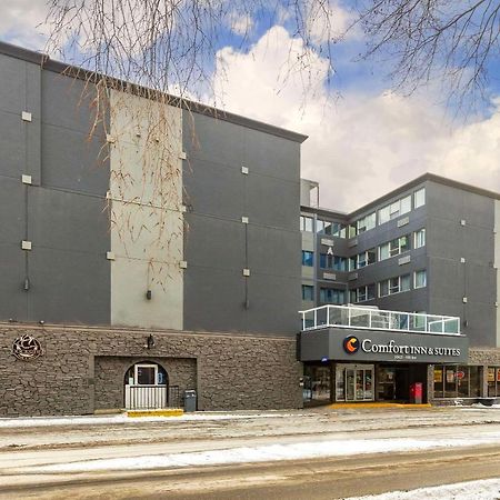 Comfort Inn & Suites Edmonton Exterior photo