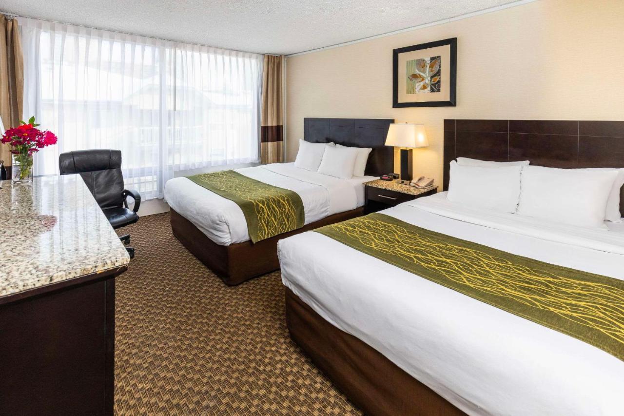 Comfort Inn & Suites Edmonton Exterior photo